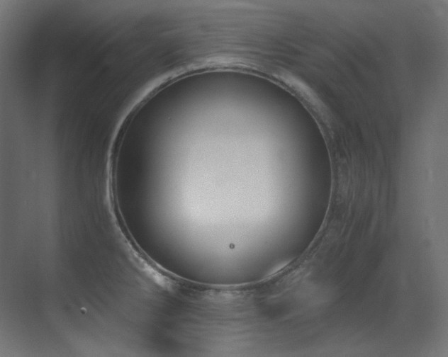 X0000073511286200607311309