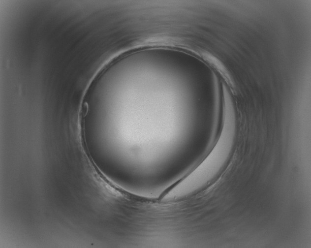 X0000073511288200607311309