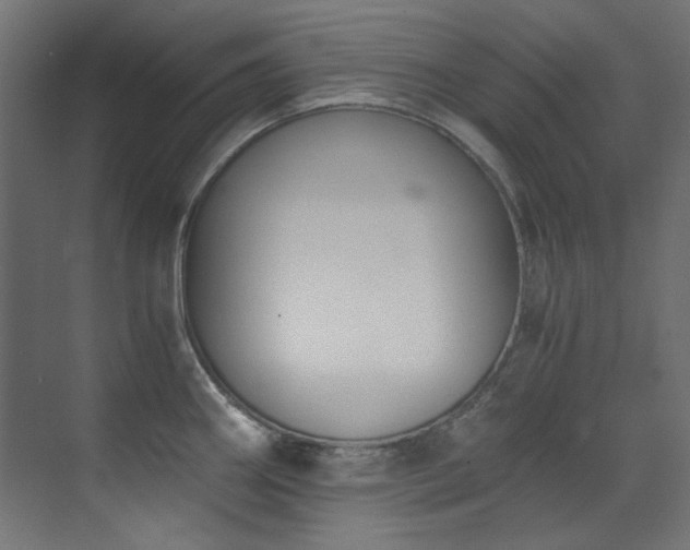 X0000073511290200607311309