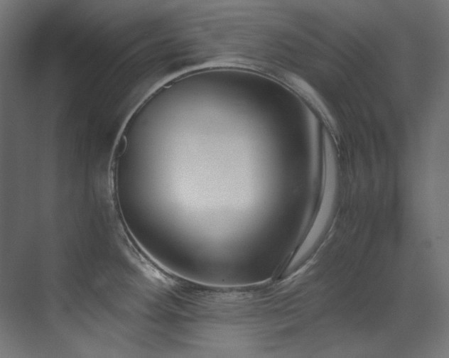 X0000073511292200607311309