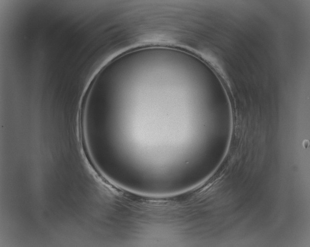 X0000073511295200607311309