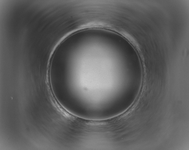 X0000073511296200607311309