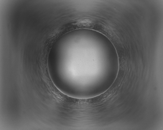 X0000073511297200607311308