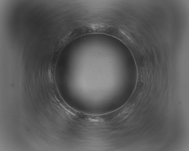 X0000073511298200607311308