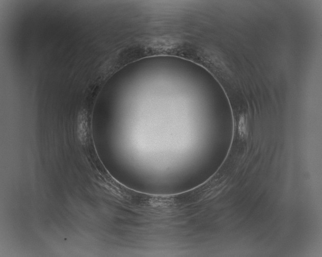 X0000073511299200607311308
