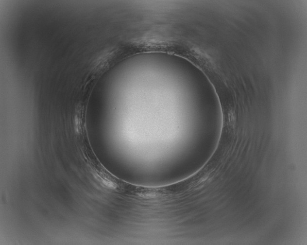 X0000073511300200607311308