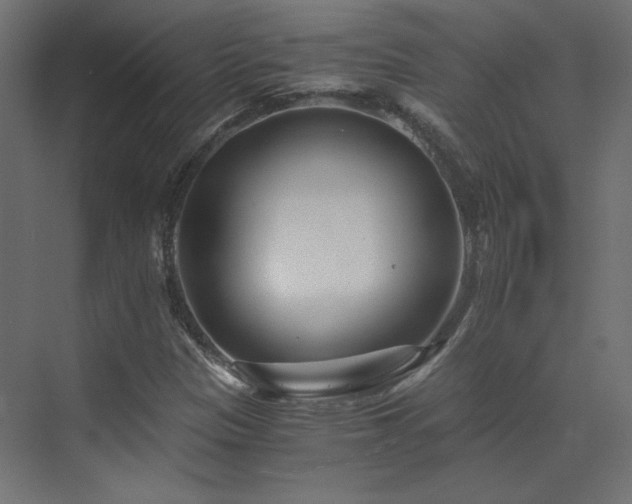 X0000073511305200607311308