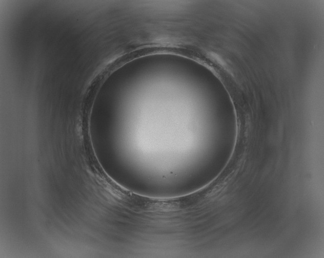 X0000073511307200607311308