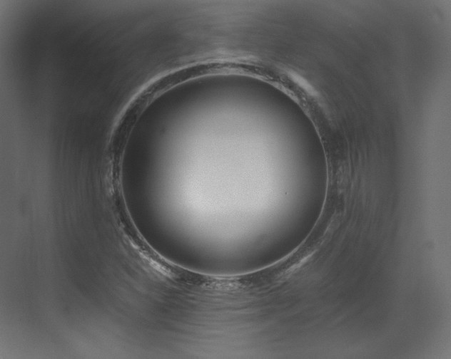 X0000073511310200607311308