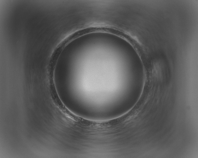 X0000073511311200607311308