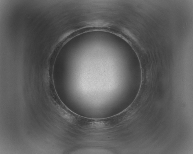 X0000073511315200607311308