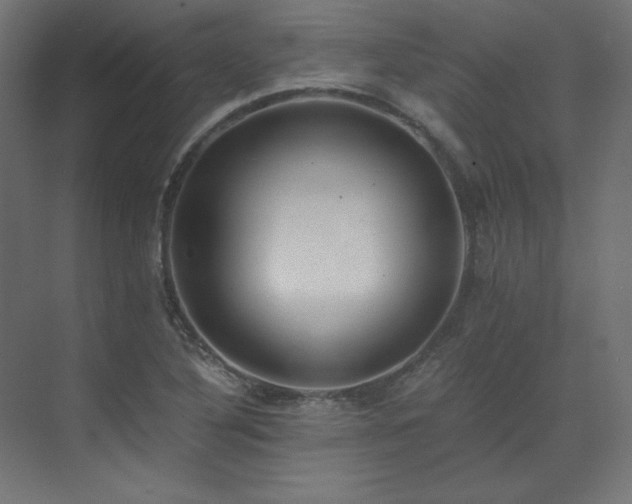X0000073511316200607311308