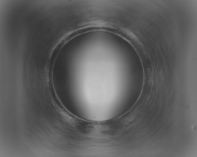 X0000073511318200607311308
