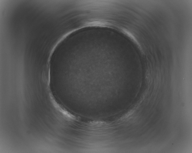 X0000073511323200607311308