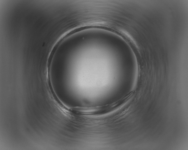 X0000073511324200607311308