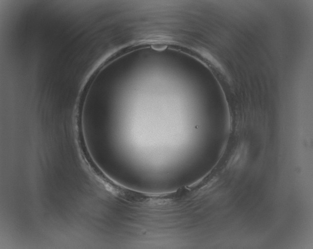 X0000073511325200607311308