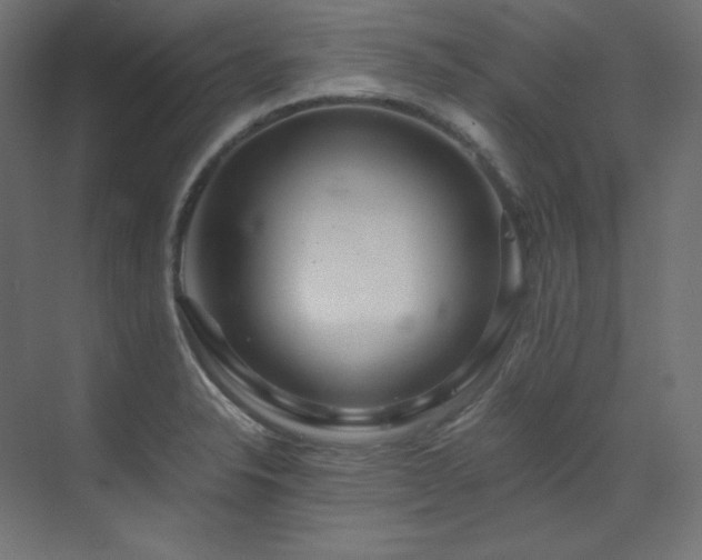 X0000073511326200607311308