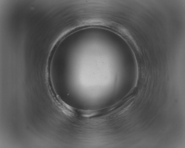 X0000073511328200607311308