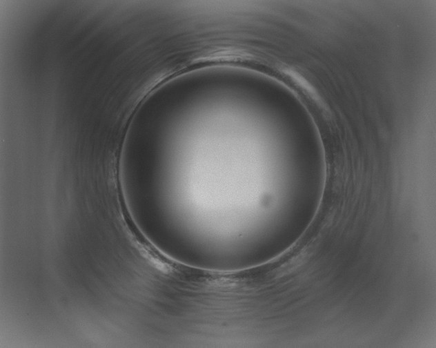 X0000073511329200607311308