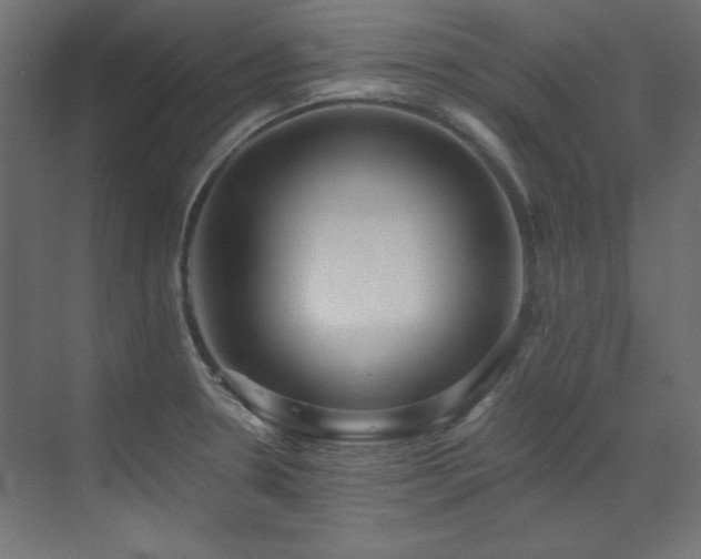 X0000073511330200607311308