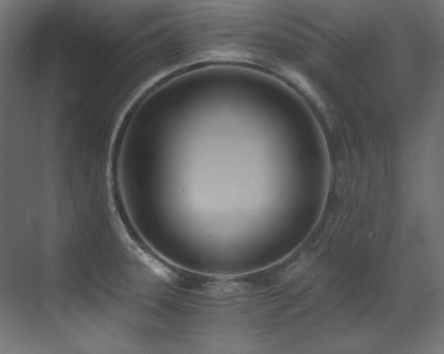 X0000073511331200607311308