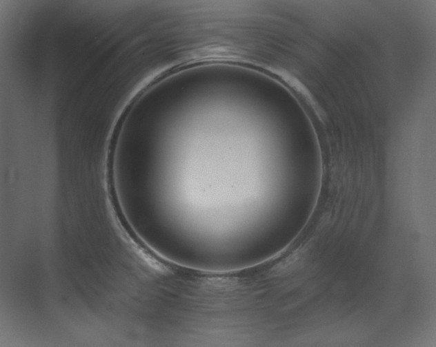 X0000073511333200607311308