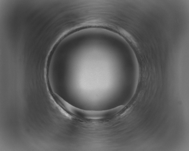X0000073511334200607311308