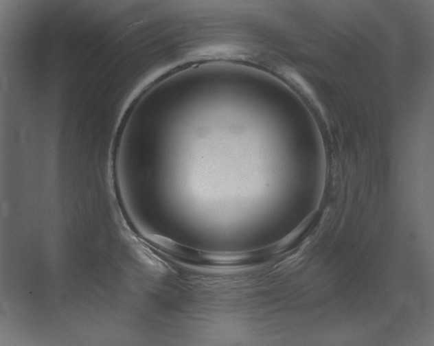 X0000073511336200607311308