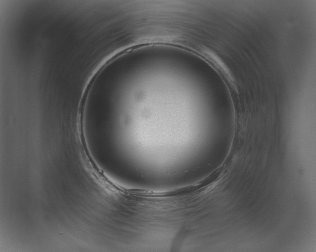X0000073511340200607311309