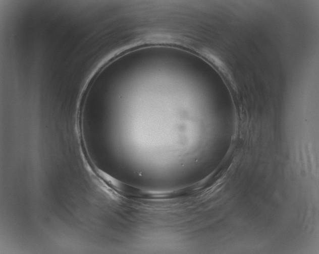 X0000073511342200607311309