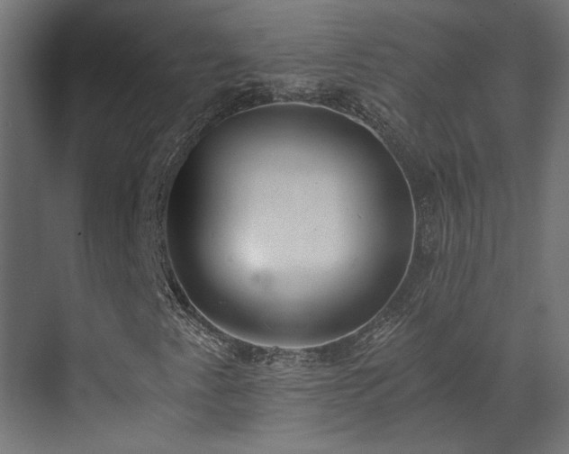 X0000073511345200607311308