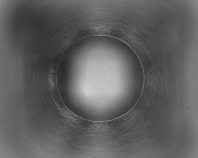 X0000073511346200607311308