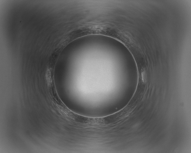 X0000073511347200607311308