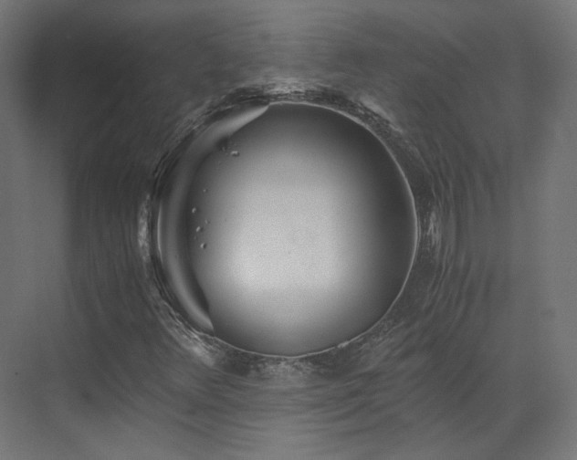 X0000073511348200607311308