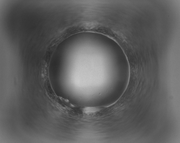 X0000073511349200607311308