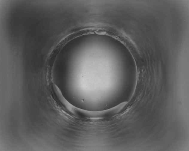 X0000073511352200607311308