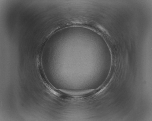 X0000073511353200607311308