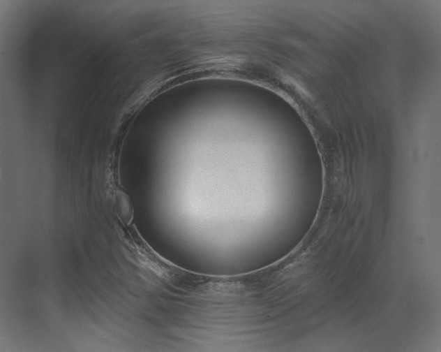 X0000073511354200607311308