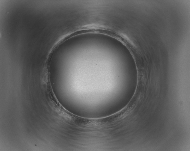 X0000073511358200607311308