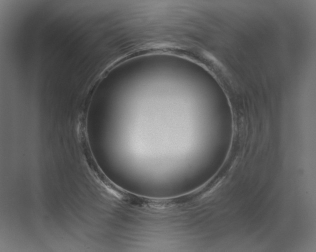 X0000073511361200607311308