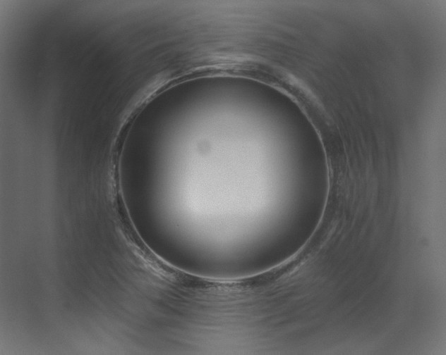X0000073511362200607311308
