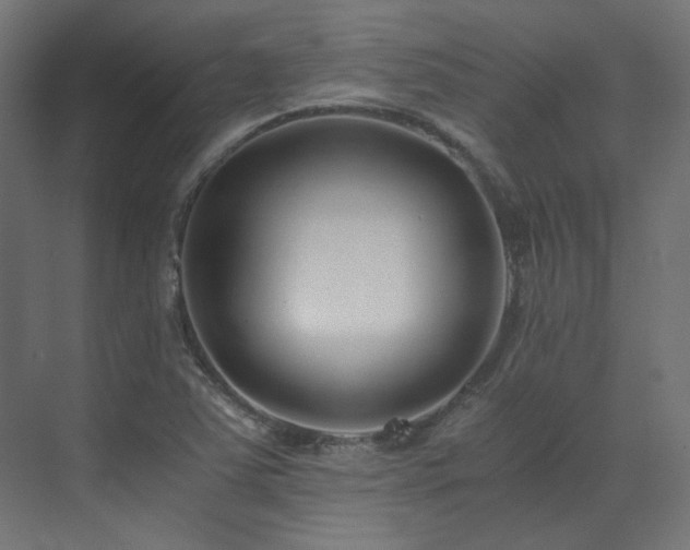 X0000073511363200607311307