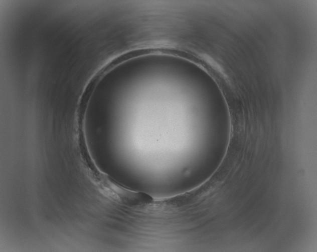 X0000073511364200607311307
