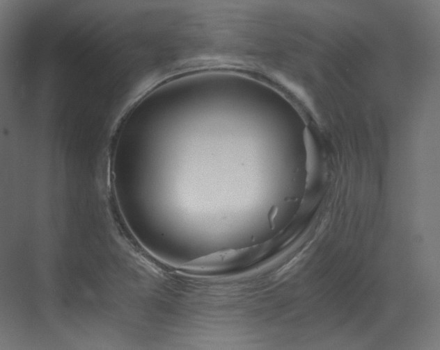 X0000073511365200607311307