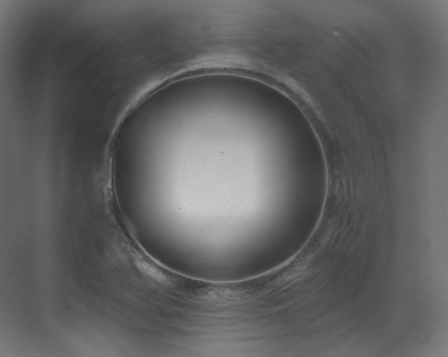 X0000073511366200607311307
