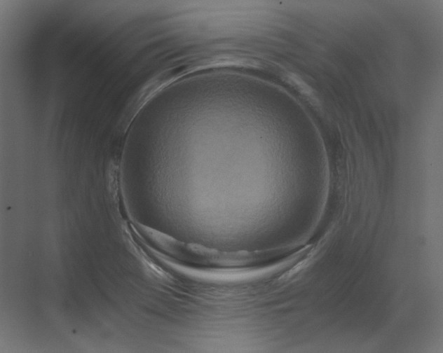 X0000073511369200607311307