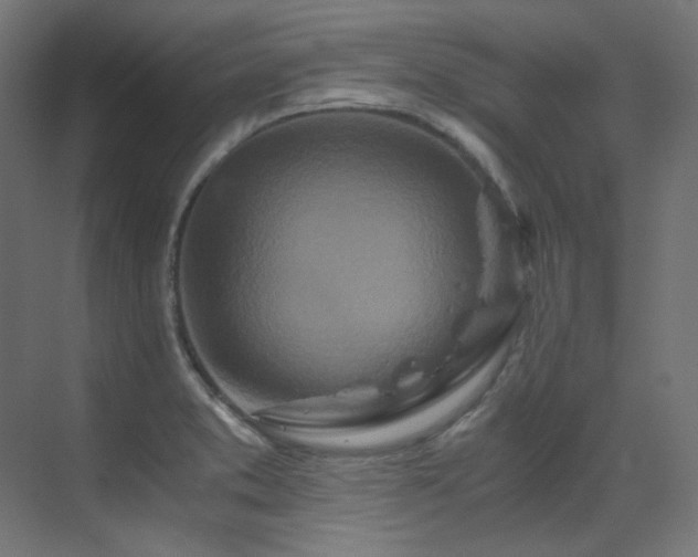 X0000073511373200607311307