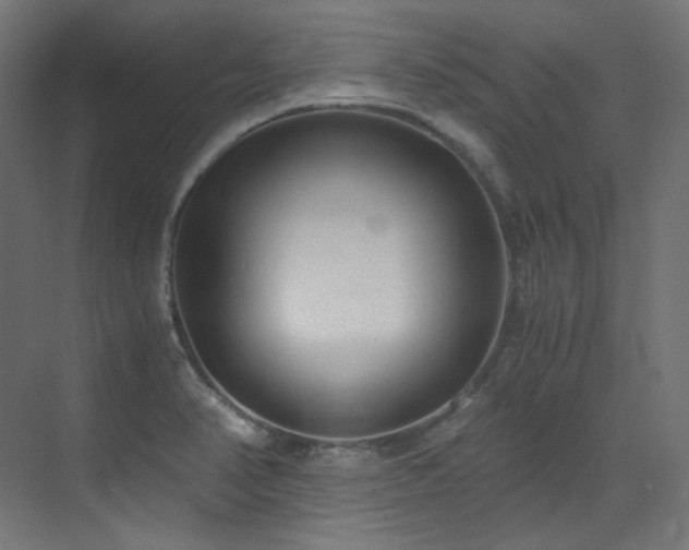 X0000073511374200607311307