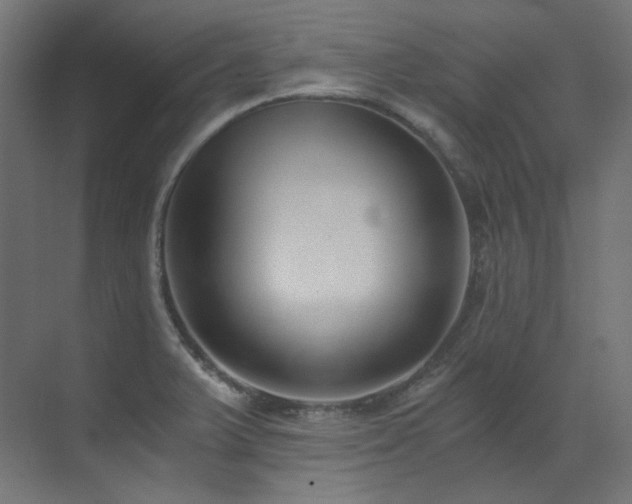X0000073511375200607311307