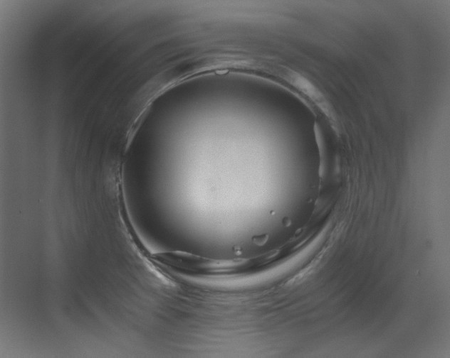 X0000073511377200607311307